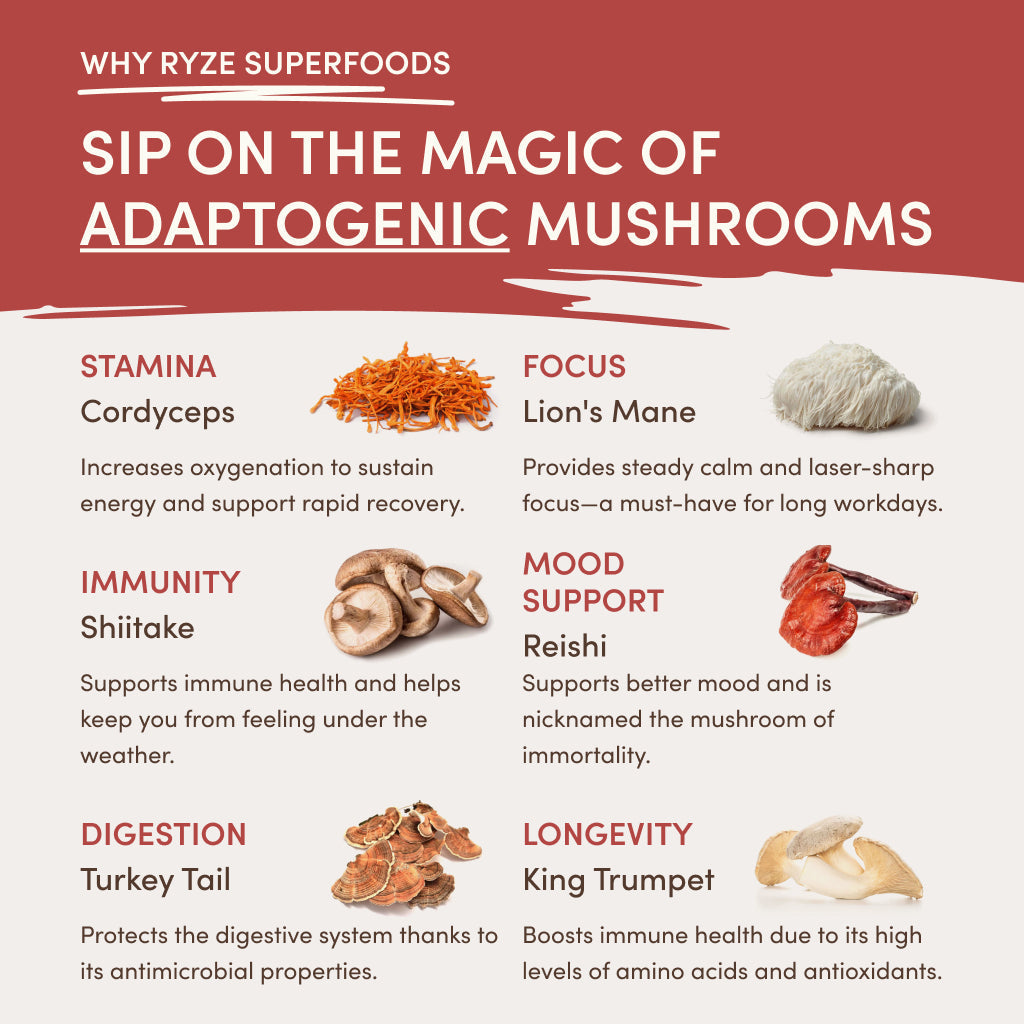 RYZE Mushroom Chai Starter Bag